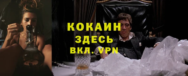 прущие грибы Корсаков