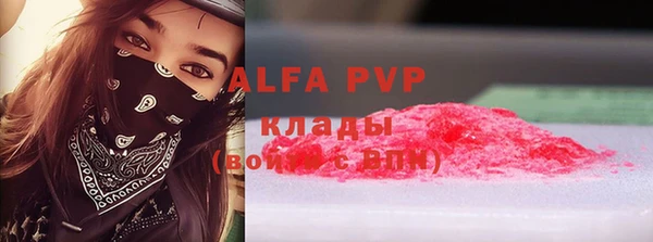 apvp Алзамай