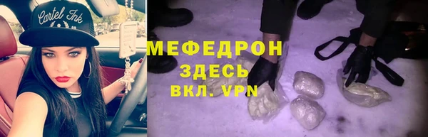 прущие грибы Абаза