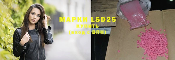 прущие грибы Абаза