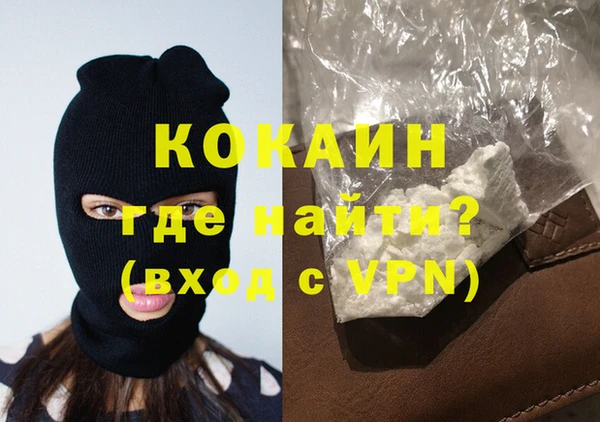 прущие грибы Абаза