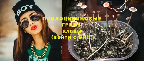 apvp Алзамай
