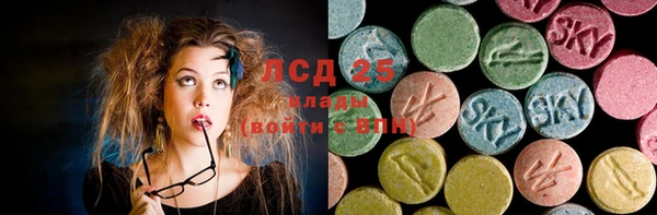 прущие грибы Абаза