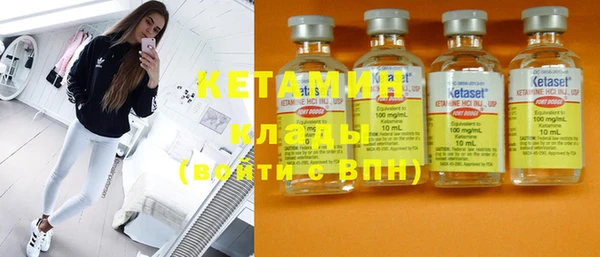 прущие грибы Абаза