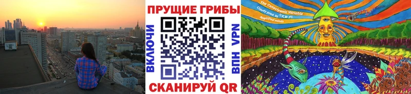 Галлюциногенные грибы прущие грибы  где купить   Почеп 